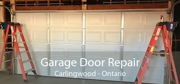 Garage Door Repair Carlingwood - Ontario