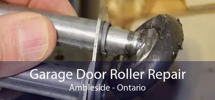 Garage Door Roller Repair Ambleside - Ontario