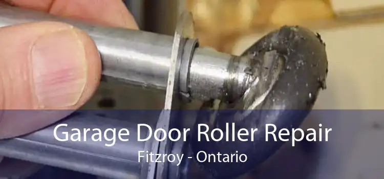Garage Door Roller Repair Fitzroy - Ontario