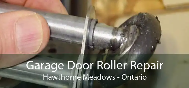 Garage Door Roller Repair Hawthorne Meadows - Ontario