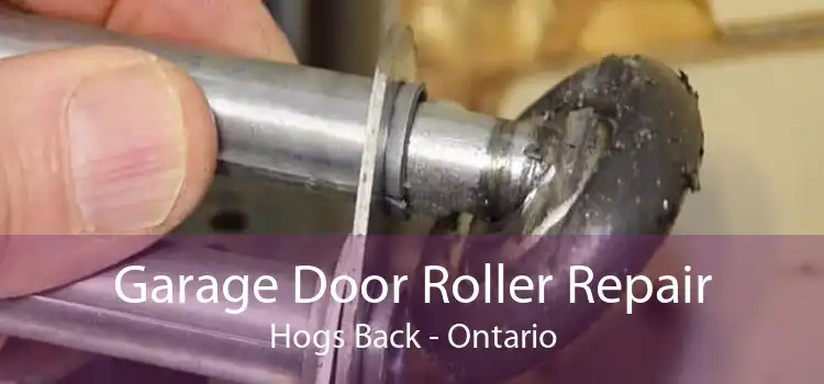 Garage Door Roller Repair Hogs Back - Ontario