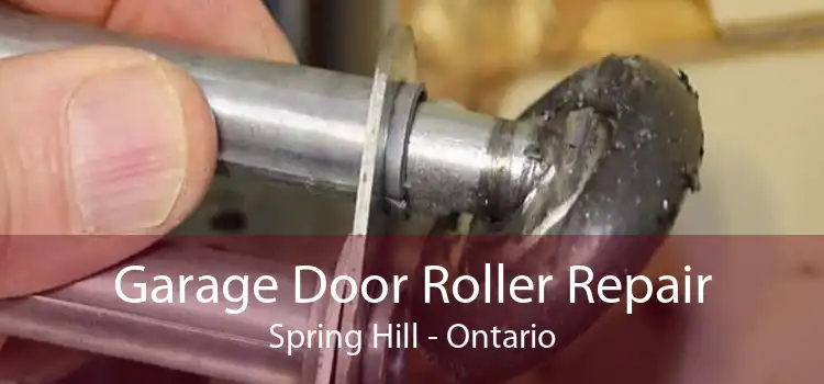 Garage Door Roller Repair Spring Hill - Ontario