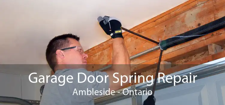 Garage Door Spring Repair Ambleside - Ontario