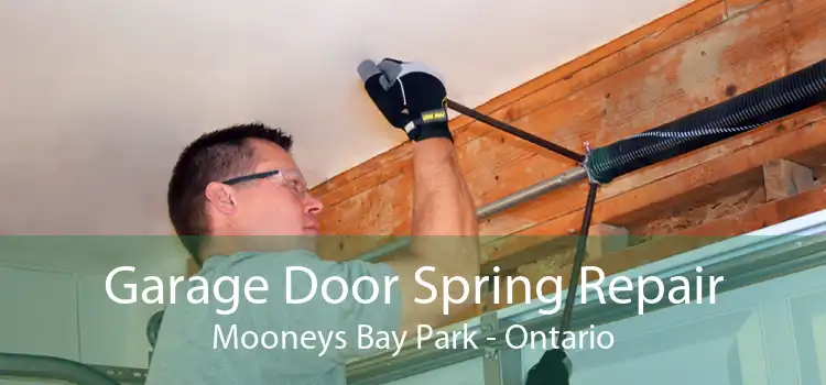 Garage Door Spring Repair Mooneys Bay Park - Ontario