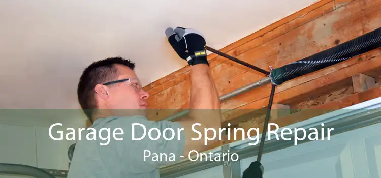 Garage Door Spring Repair Pana - Ontario