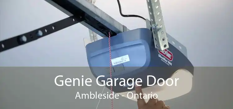 Genie Garage Door Ambleside - Ontario