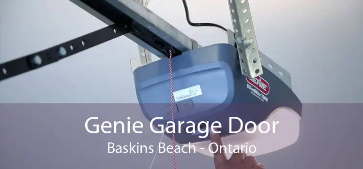 Genie Garage Door Baskins Beach - Ontario