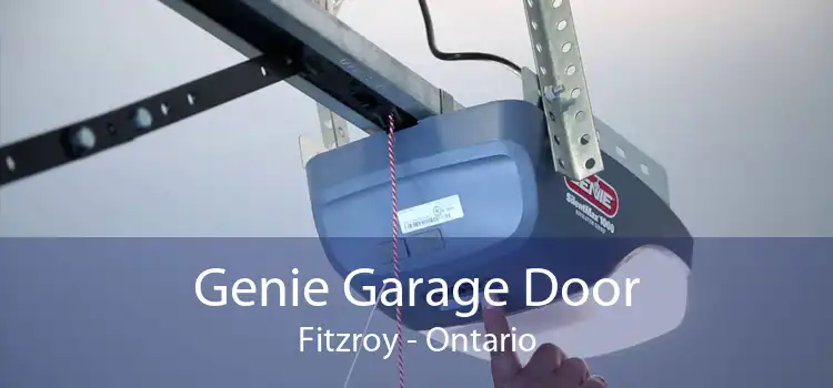 Genie Garage Door Fitzroy - Ontario