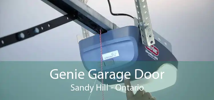 Genie Garage Door Sandy Hill - Ontario