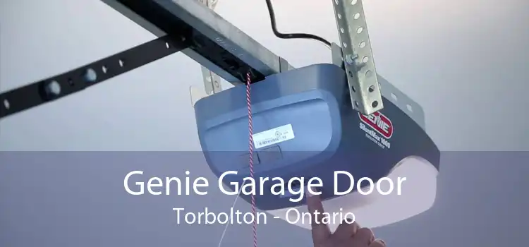 Genie Garage Door Torbolton - Ontario