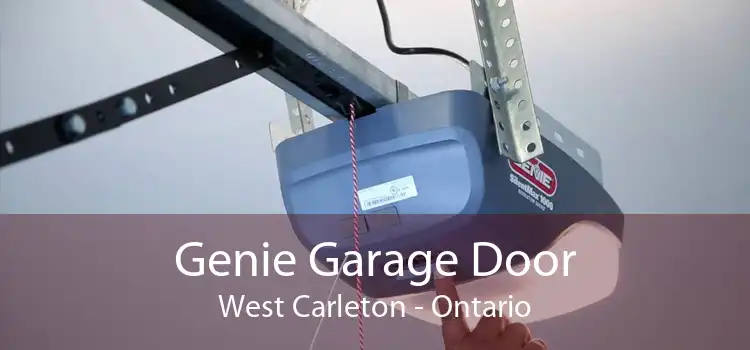 Genie Garage Door West Carleton - Ontario