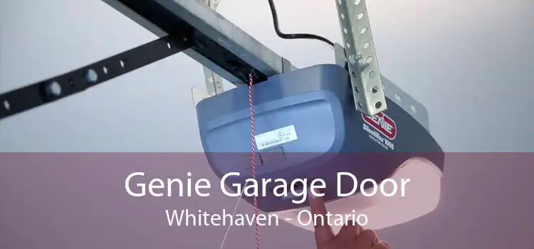 Genie Garage Door Whitehaven - Ontario