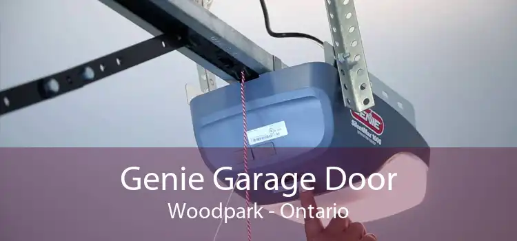 Genie Garage Door Woodpark - Ontario