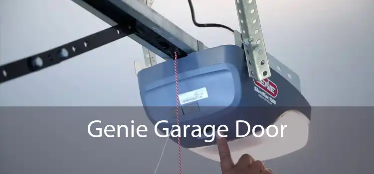 Genie Garage Door 