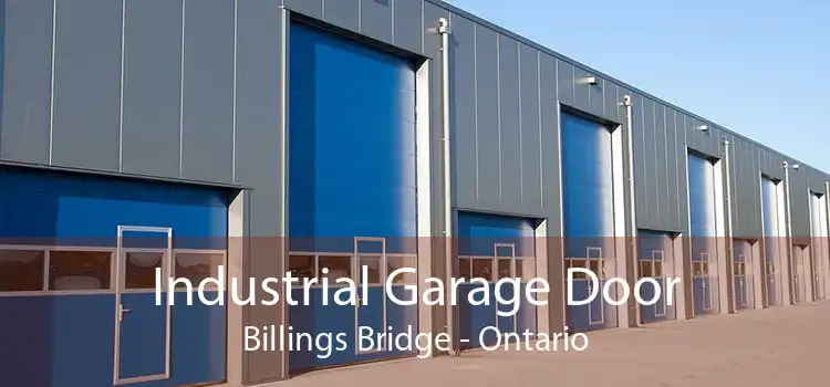 Industrial Garage Door Billings Bridge - Ontario
