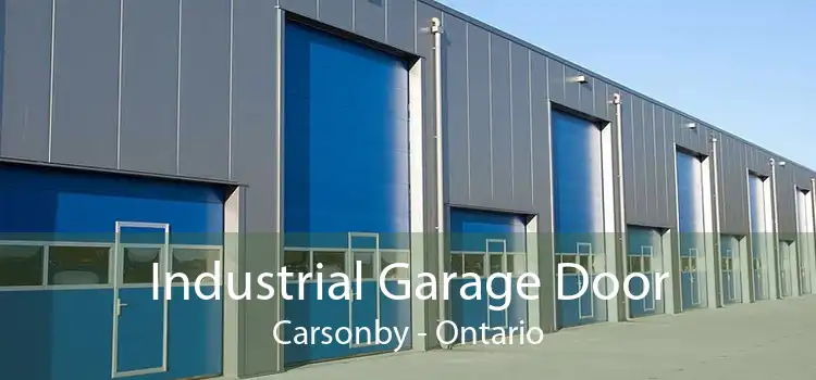 Industrial Garage Door Carsonby - Ontario