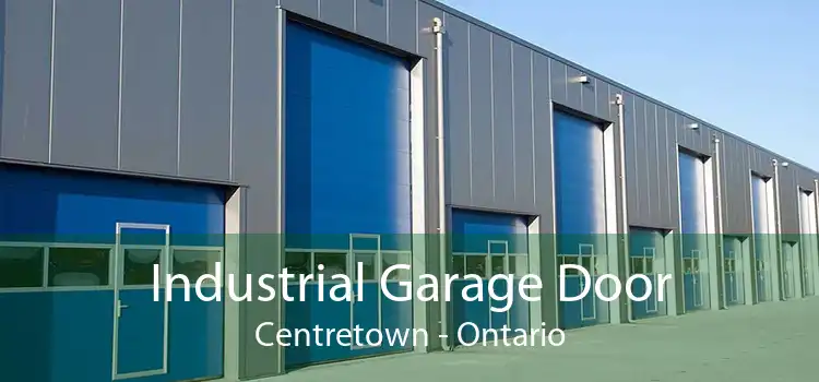 Industrial Garage Door Centretown - Ontario