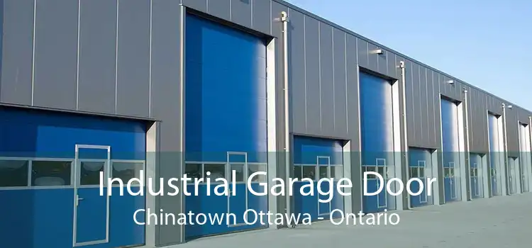 Industrial Garage Door Chinatown Ottawa - Ontario