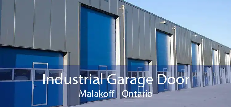Industrial Garage Door Malakoff - Ontario