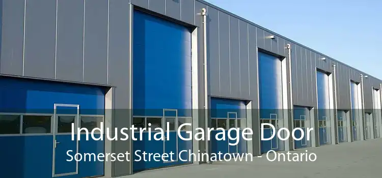 Industrial Garage Door Somerset Street Chinatown - Ontario