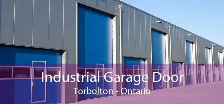 Industrial Garage Door Torbolton - Ontario
