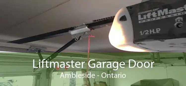 Liftmaster Garage Door Ambleside - Ontario