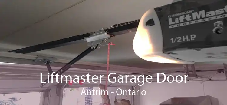 Liftmaster Garage Door Antrim - Ontario