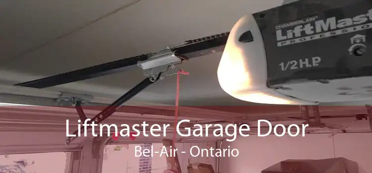 Liftmaster Garage Door Bel-Air - Ontario