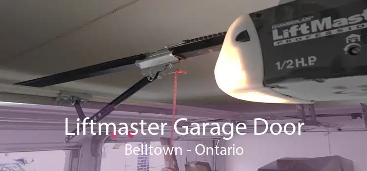 Liftmaster Garage Door Belltown - Ontario
