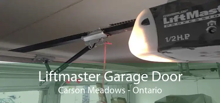 Liftmaster Garage Door Carson Meadows - Ontario