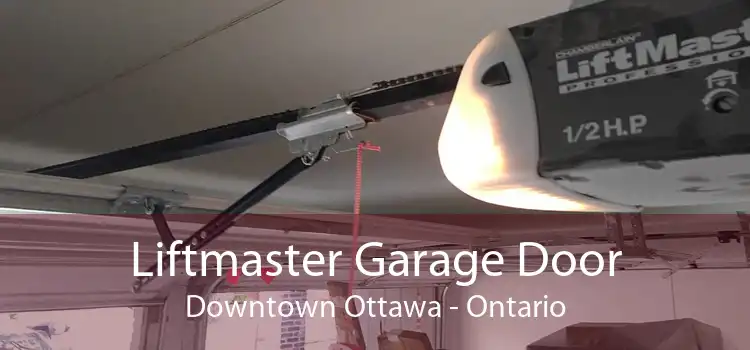Liftmaster Garage Door Downtown Ottawa - Ontario