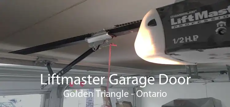 Liftmaster Garage Door Golden Triangle - Ontario