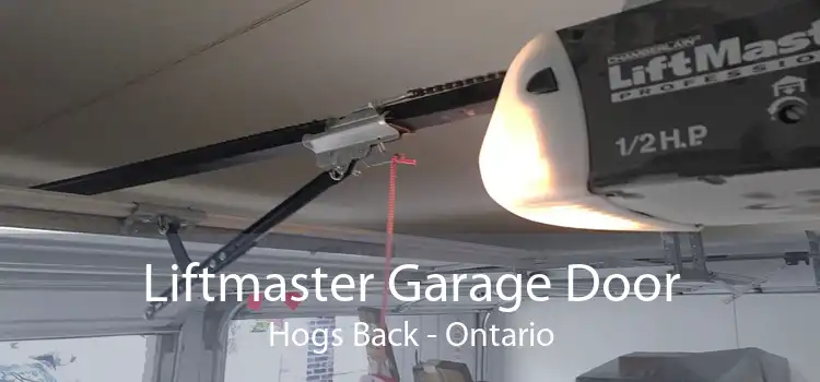 Liftmaster Garage Door Hogs Back - Ontario