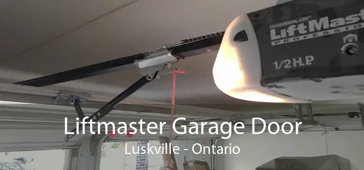 Liftmaster Garage Door Luskville - Ontario