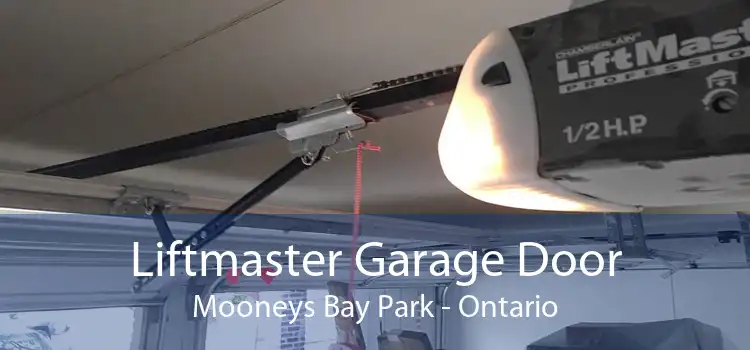 Liftmaster Garage Door Mooneys Bay Park - Ontario