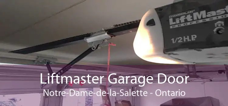 Liftmaster Garage Door Notre-Dame-de-la-Salette - Ontario