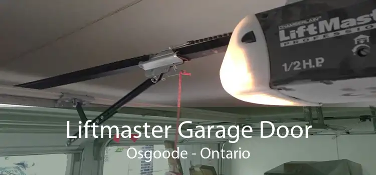 Liftmaster Garage Door Osgoode - Ontario