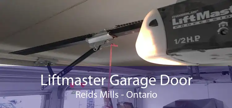 Liftmaster Garage Door Reids Mills - Ontario