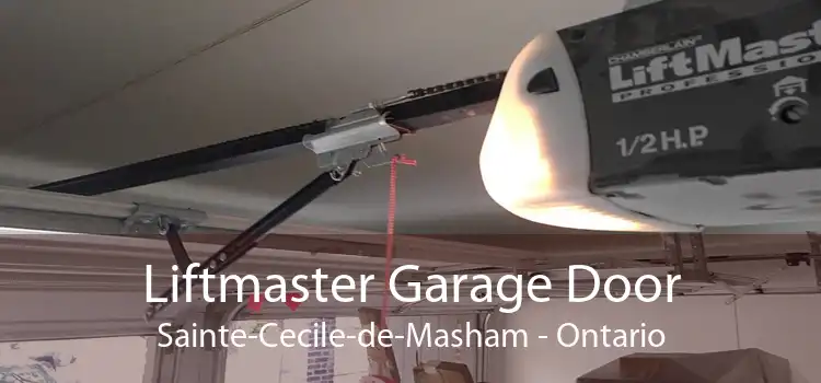 Liftmaster Garage Door Sainte-Cecile-de-Masham - Ontario