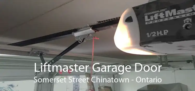 Liftmaster Garage Door Somerset Street Chinatown - Ontario