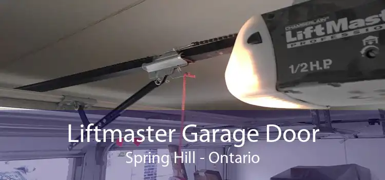 Liftmaster Garage Door Spring Hill - Ontario