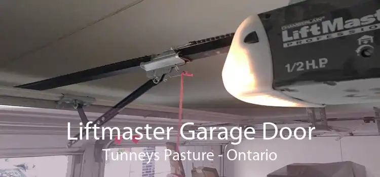 Liftmaster Garage Door Tunneys Pasture - Ontario
