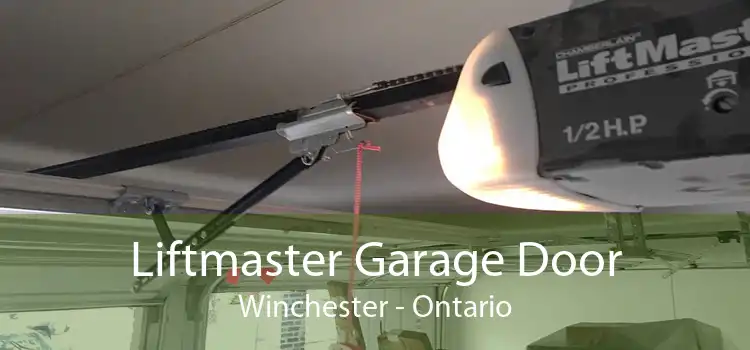 Liftmaster Garage Door Winchester - Ontario