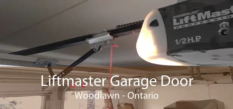 Liftmaster Garage Door Woodlawn - Ontario