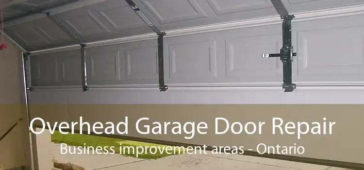 Overhead Garage Door Repair Business improvement areas - Ontario