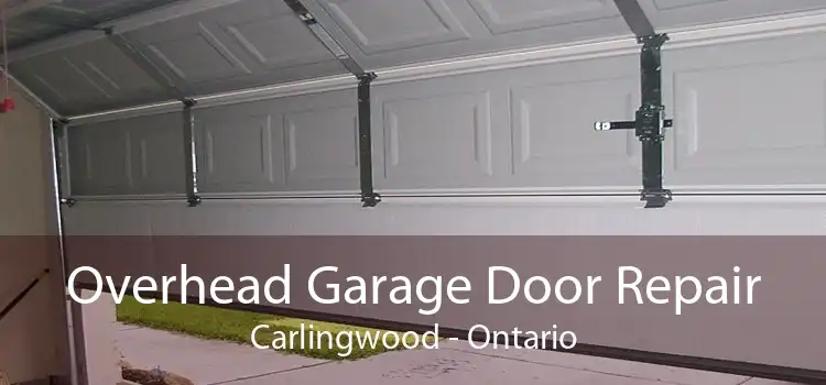 Overhead Garage Door Repair Carlingwood - Ontario