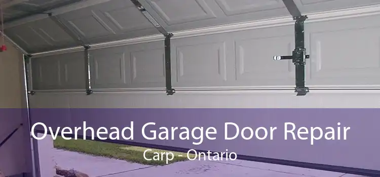 Overhead Garage Door Repair Carp - Ontario