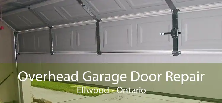 Overhead Garage Door Repair Ellwood - Ontario