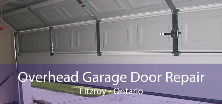 Overhead Garage Door Repair Fitzroy - Ontario