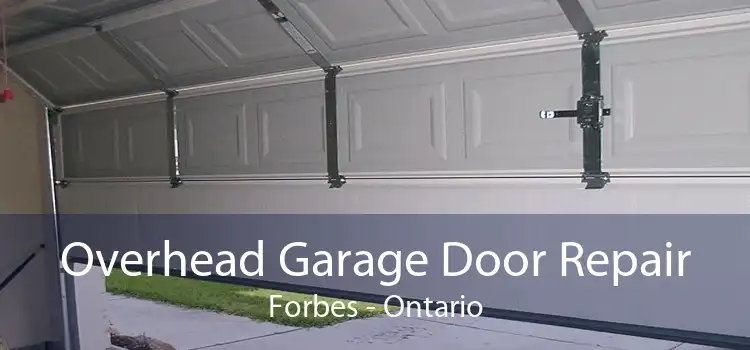 Overhead Garage Door Repair Forbes - Ontario